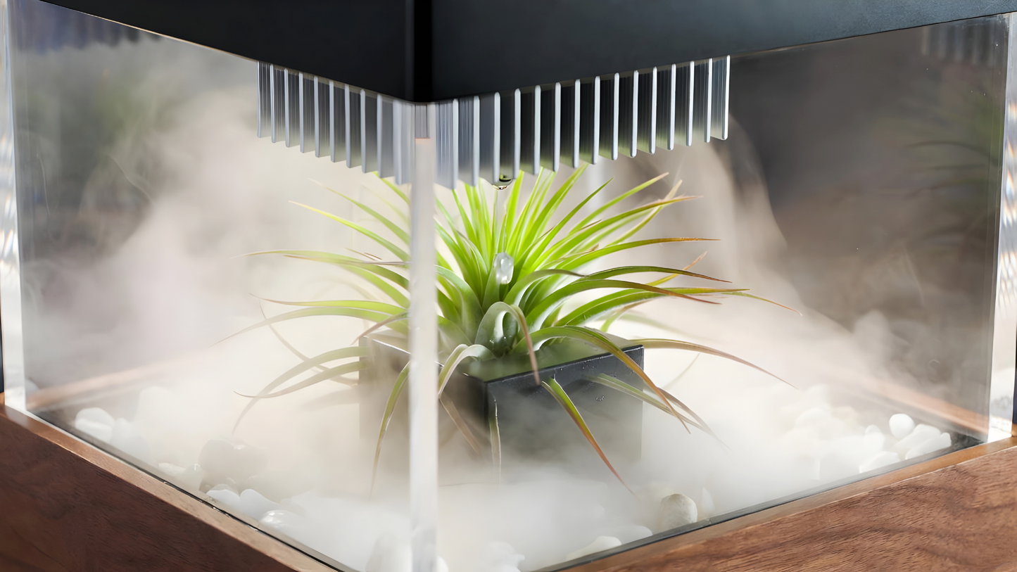 Cloud Creator Garden – $1 Deposit